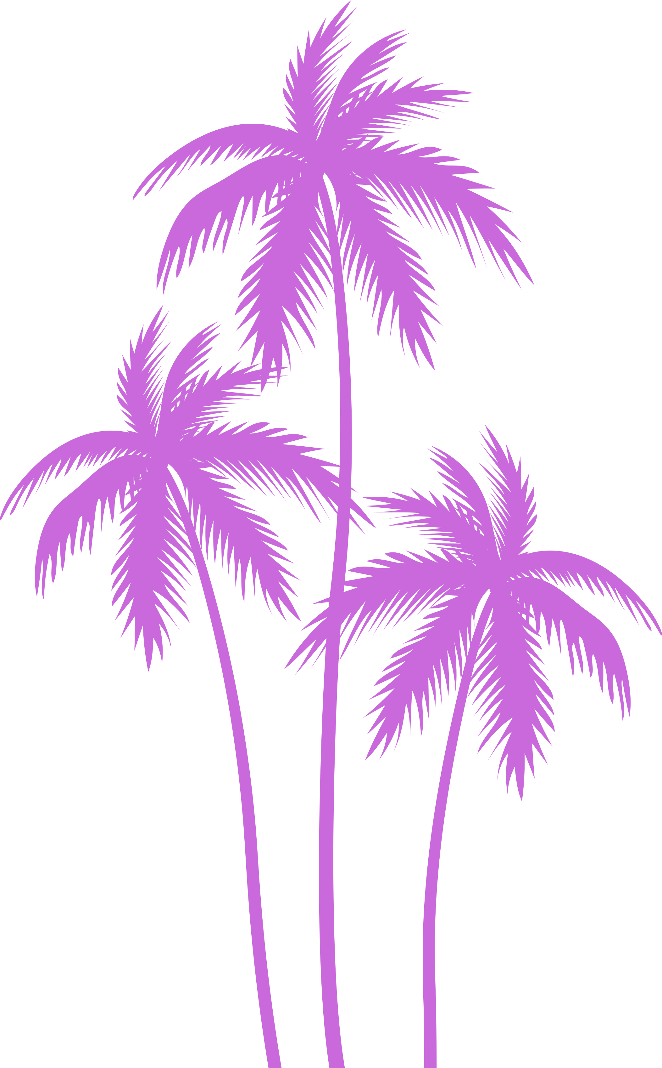 Palm Tree